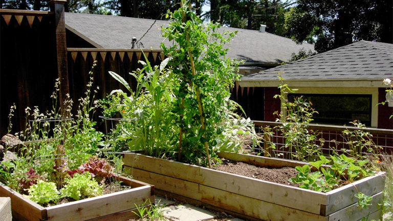 Rectangle Raised Bed Garden Kit